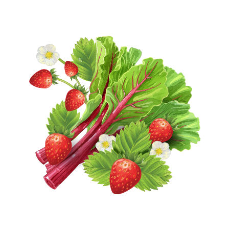 Strawberry Rhubarb Cold Brew Coffee Growler