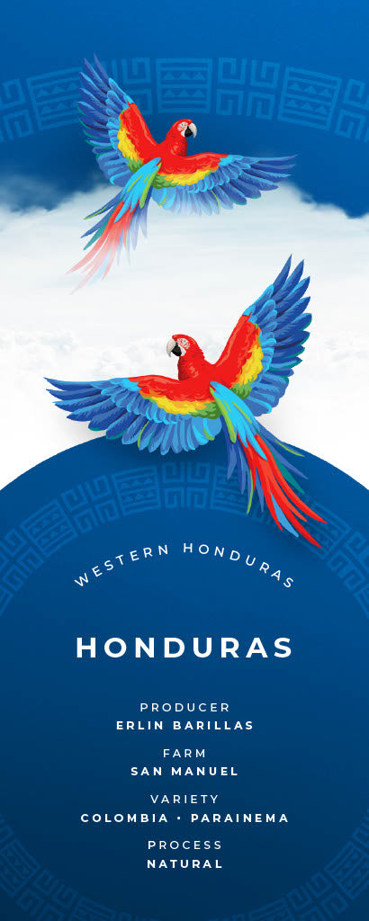 Honduras San Manuel Natural