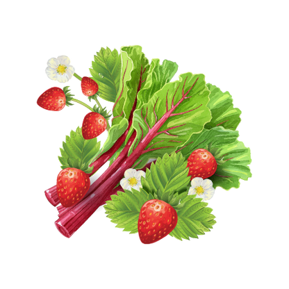 Strawberry Rhubarb Cold Brew Coffee Growler