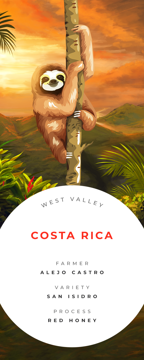 Costa Rica West Valley